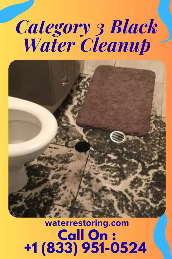 Category 3 Black Water Cleanup in Moquino, NM