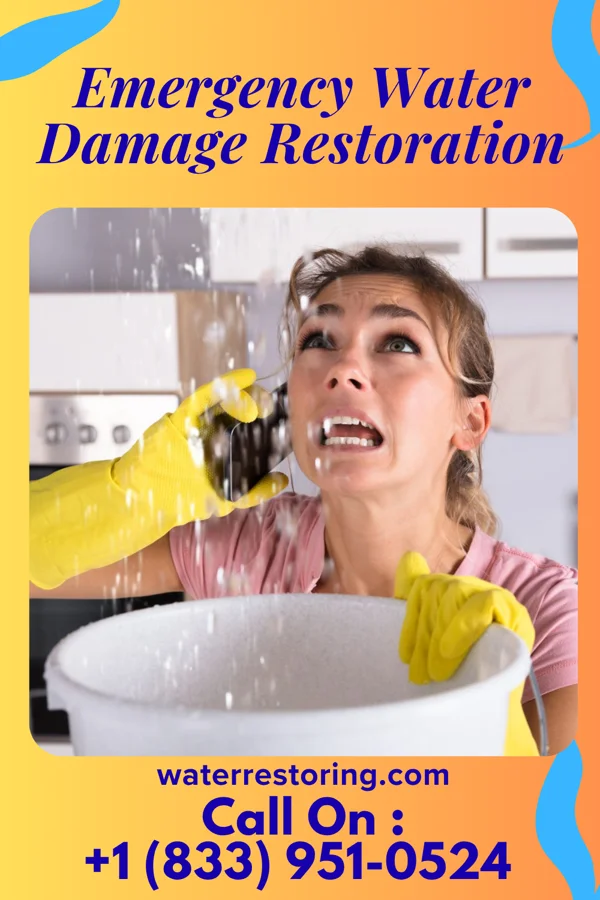 Emergency Water Damage Restoration in Moquino, NM